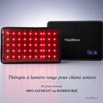 Ceinture de luminothérapie rouge VitalMove pour chiens seniors, 30 jours d'essai satisfait ou remboursé