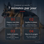 Comment ça marche : 7 minutes par jour en 4 étapes simples avec la ceinture VitalMove
