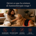 Qu'est-ce que la ceinture de luminothérapie rouge : sans médicament, sans produit chimique, non invasive, indolore