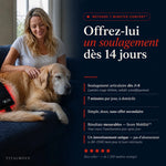 Ceinture VitalMove