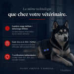 Ceinture VitalMove