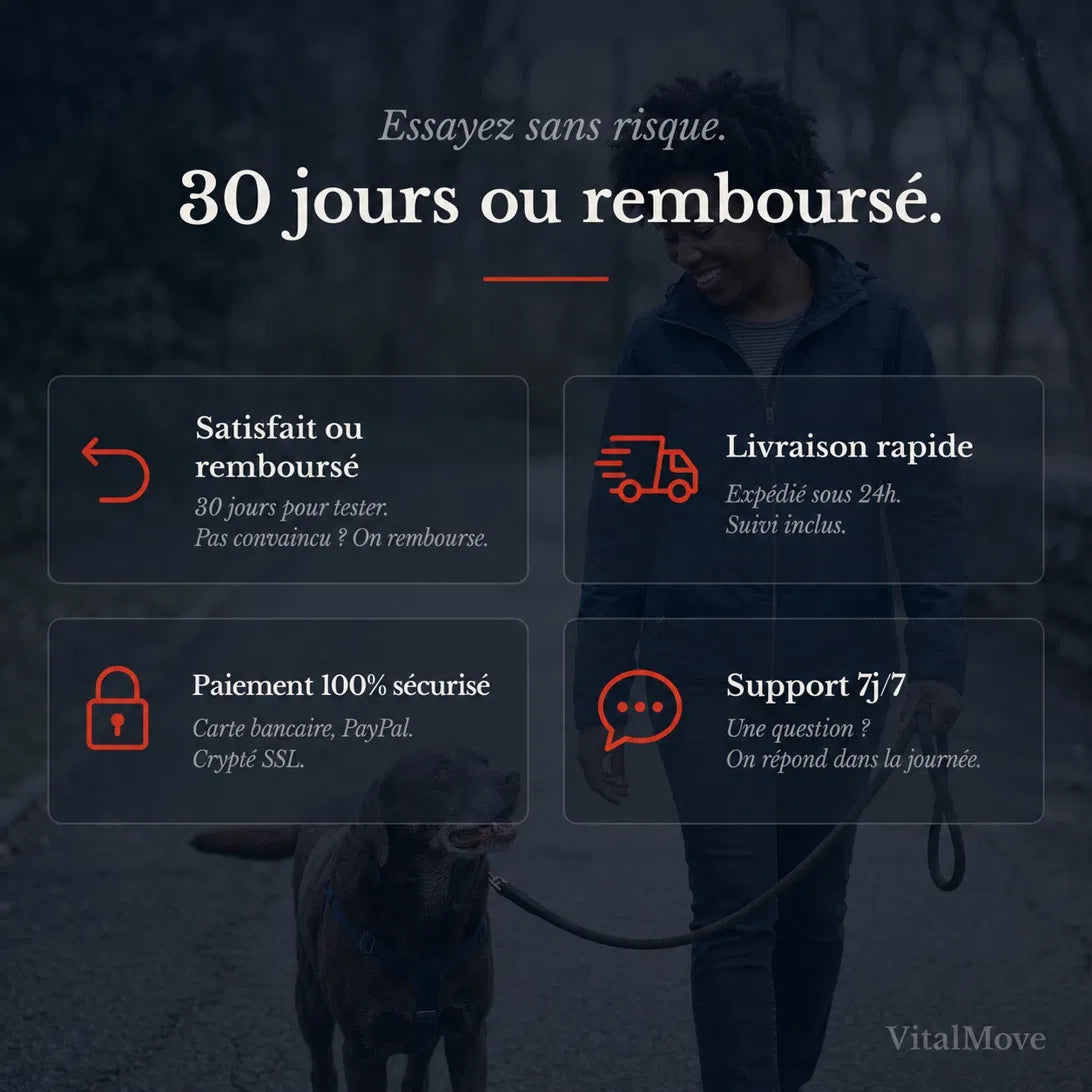 Ceinture VitalMove